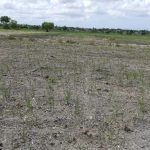 Climate shocks to drive millions of Ghanaians into poverty – IFC calls for more action.