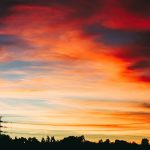 Conference of the Parties (COP27): Africa’s time to shine?