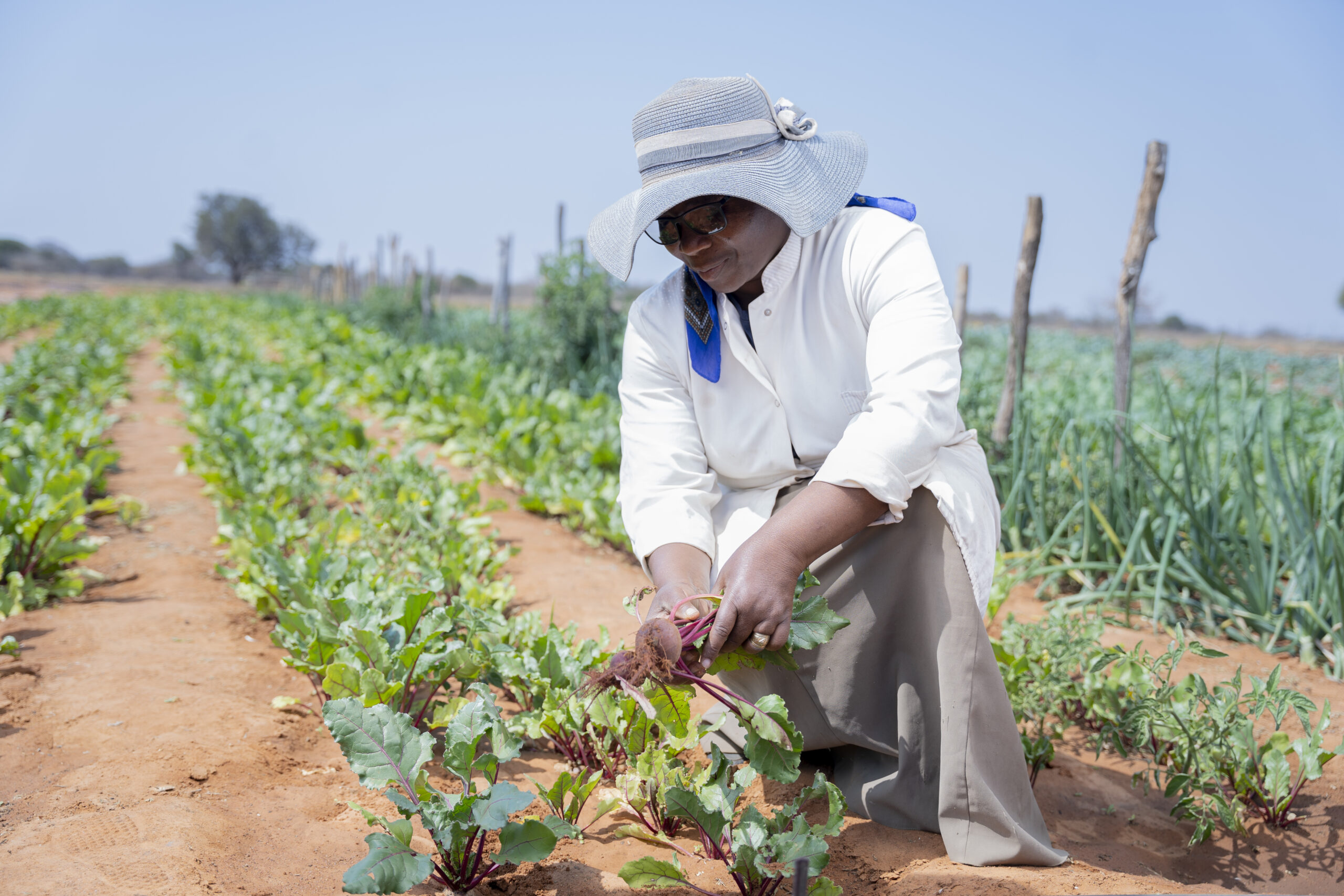 Brastorne Connects the Unconnected in Africa