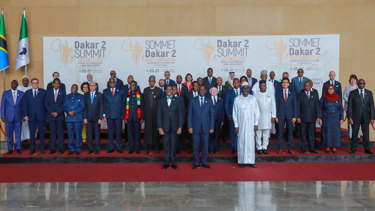 Feed Africa Summit: African Development Bank to commit $10 billion to make continent the breadbasket of the world