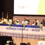 Niger’s Value Proposition Unveiled