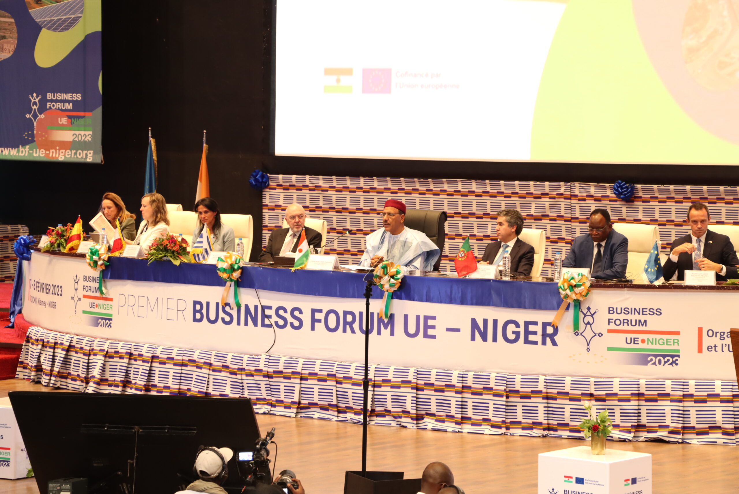 Niger’s Value Proposition Unveiled