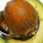 The Seeds Some Still Throw Away Series