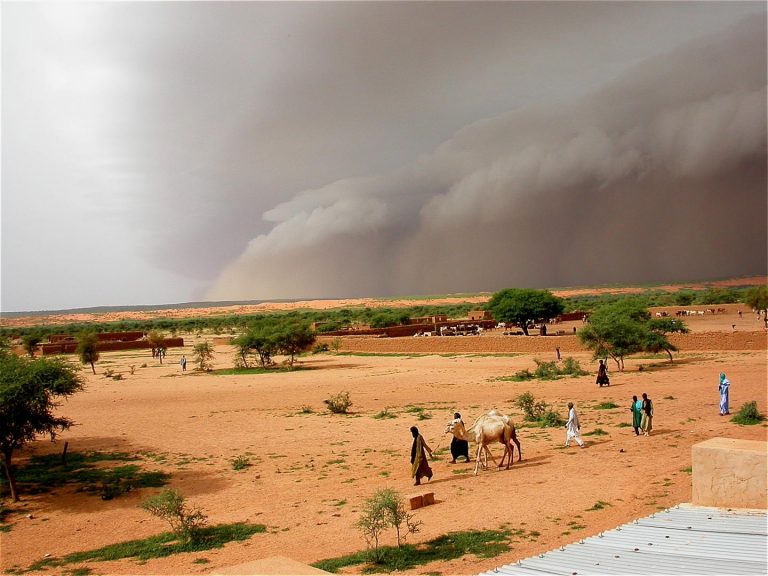 Hunger Projections in Mauritania, Sahel Region Alarming!!!