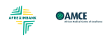 African Medical Centre of Excellence Holds Inaugural Board Meeting