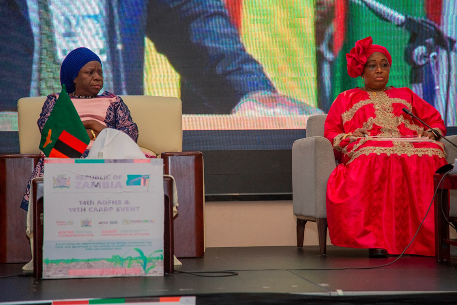 Africa Day for Food and Nutrition Security: Zambian Vice President underscores role of grey matter infrastructure development