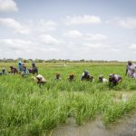 African Development Bank approves $66 million loan for equity enhancement of Tanzania Agricultural Development Bank
