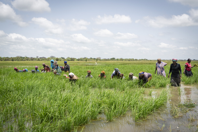 African Development Bank approves $66 million loan for equity enhancement of Tanzania Agricultural Development Bank