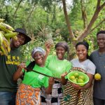 Ghanaian and Senegalese entrepreneurs to benefit from African Development Bank Youth Entrepreneurship and Innovation Multi-Donor Trust Fund (YEI MDTF) grant for green jobs in natural resources