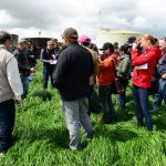 World Press Freedom Day 2024