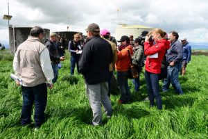 World Press Freedom Day 2024