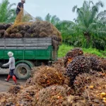 ‘Nigeria spends $600m annually on palm oil importation’