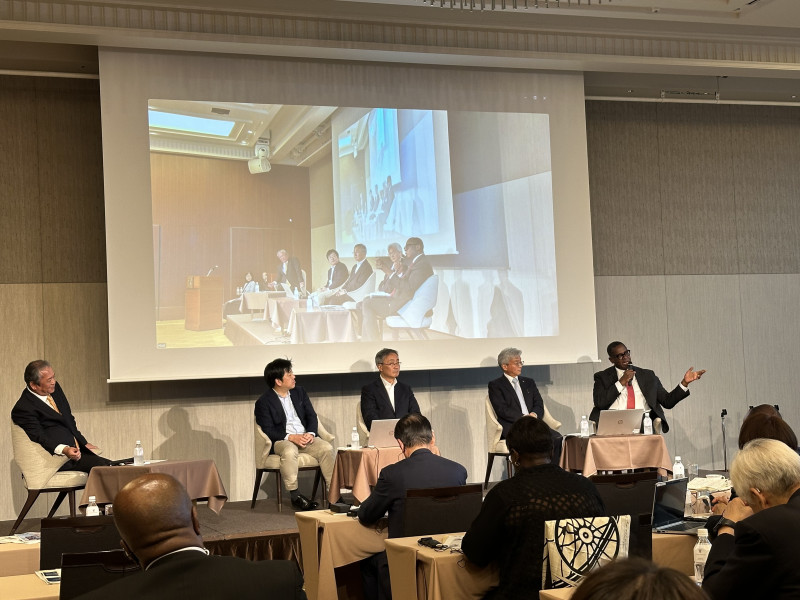 Africa Offers Attractive Investment Opportunities for Japanese Firms, Say African Development Bank Leaders