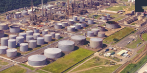 Africa- Policy Reform and Revitalization: The Key to&hellip;