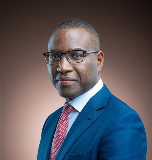 For a successful integration, Africa needs an operating system update (By Amadou Hott)