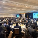 Global Attention Towards Africa Sours