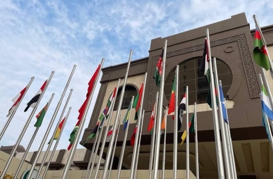 OIC, LAS, and AU launch a joint emergency&hellip;