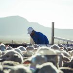 Carbon-finance project pioneer TASC joins Carbon Markets Africa Summit as diamond sponsor