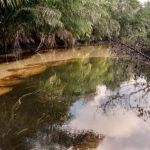 Community Health, Sanitation and Water Supply In Oil-Producing Areas of Nigeria’s Niger Delta Region: Focus on Imo State [current concerns 2-010](Dr.Uzodinma Adirieje)