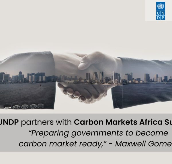 About African Gov’ts and carbon market readiness