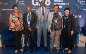 Africa’s Clean-Cooking Drive Hinges on Carbon-Credit Reform, Transport…