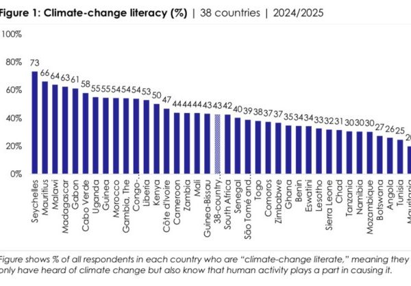 Africans Demand Immediate Climate Action from Rich Countries & their own Governments…..Afrobarometer Reveals