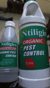 Boosting Dagbon’s emerging Organic Farming Paradigm…Ntiligira Enterprise Leads&hellip;