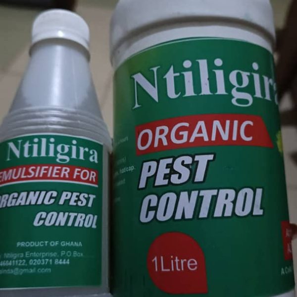 Boosting Dagbon’s emerging Organic Farming Paradigm…Ntiligira Enterprise Leads&hellip;