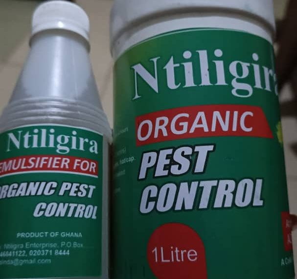 Boosting Dagbon’s emerging Organic Farming Paradigm…Ntiligira&hellip;