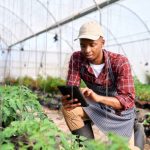 African startups get $180 billion from a small, rich island and Gulf financiers