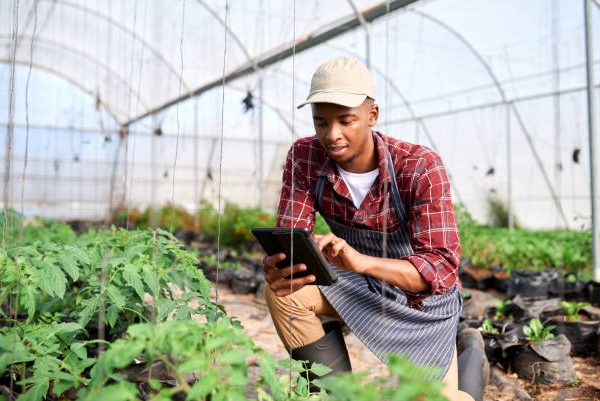 African startups get $180 billion from a small, rich island and Gulf financiers