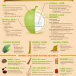 Coconut Shells and Africa’s Built Environment: A Circular Economy Pespective