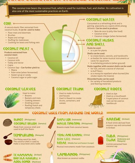 Coconut Shells and Africa’s Built Environment: A Circular&hellip;