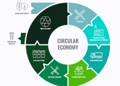Two Decades In: What It Takes to Build Circular Systems in Africa