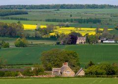 How biodiversity markets shape nature recovery