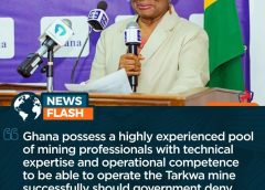 IEA opposes renewal of Gold Fields Tarkwa mining lease, calls for greater Ghanaian ownership