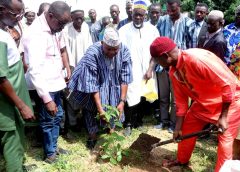 Baobab farming launched in Upper West Region