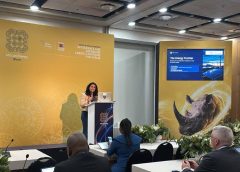 Scaling AI Across African Energy, Mining Operations….Microsoft Leads the Charge