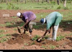 Why GAEC’s 6-Year abandoned foundry could help farmers